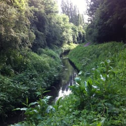 Chorlton Ees - Nice walk by the river