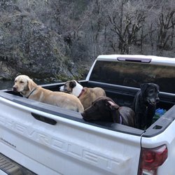 Dog Parks - We were ready to play