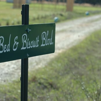 Covington Acres Bed & Biscuit - Welcome. Come and see us. - Pet Sitting Near Me - Covington, Louisiana Covington Acres Bed & Biscuit - Welcome. Come and see us. - Pet Sitting Near Me - Covington, Louisiana