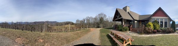 Addison Farms Vineyard by null