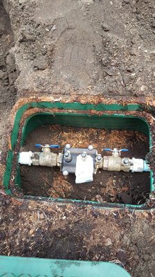 Douglas Irrigation