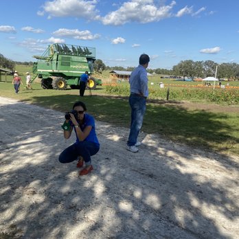 Amber Brooke Farms Williston - Pumpkin eater combine ride - Pick Your Own Farms Near Me - Williston, Florida Amber Brooke Farms Williston - Pumpkin eater combine ride - Pick Your Own Farms Near Me - Williston, Florida