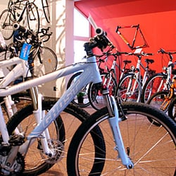 Bikedreams & Dustbikes