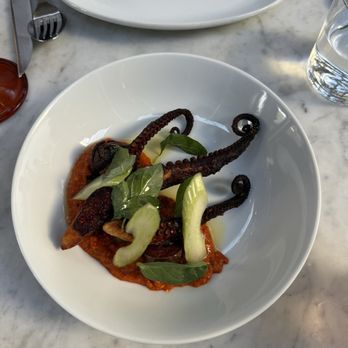 Cento Pasta Bar - Charred octopus - Italian Near Me - Los Angeles, California Cento Pasta Bar - Charred octopus - Italian Near Me - Los Angeles, California