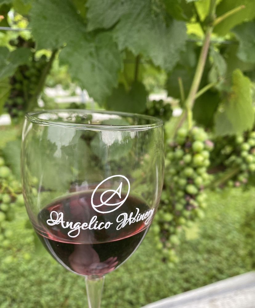 ANGELICO WINERY 40 Photos 20 Hamp Rd, Lambertville, New Jersey