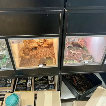 Reptile Island - Pet Stores Near Me - Rancho Cucamonga, California