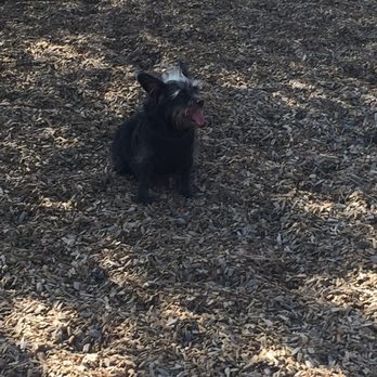 North Domingo Baca Dog Park - Dog Parks Near Me - Albuquerque, New Mexico