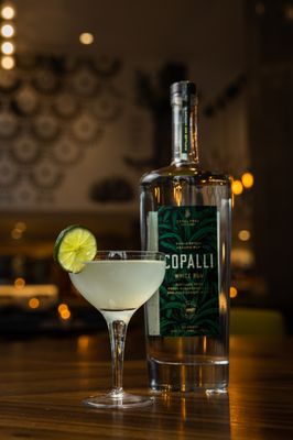 Gaslighter Social Club by null