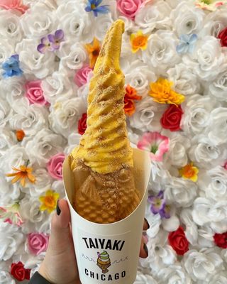 Taiyaki Chicago by null