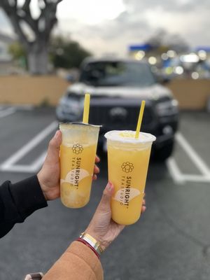 Sunright Tea Studio - Arcadia by null