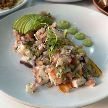 Holbox - Ceviche Mixto - Latin American Near Me - Los Angeles, California Holbox - Ceviche Mixto - Latin American Near Me - Los Angeles, California