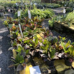 Gore's Nursery