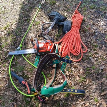 Gulf Coast Tree Removal - Tree Services Near Me
