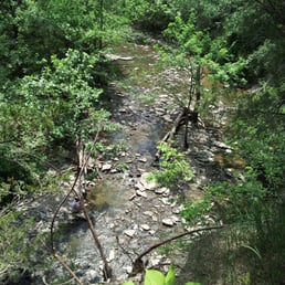 View from the trails. View from the trails.