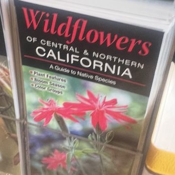 Paxton Gate - There is much room for the Wild Flower Child and for some mushrooms - Home Decor Near Me - San Francisco, California Paxton Gate - There is much room for the Wild Flower Child and for some mushrooms - Home Decor Near Me - San Francisco, California