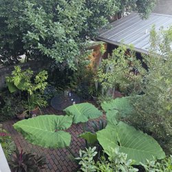 Pierre Coulon Guest House - A view of the courtyard from the back bedroom gallery.