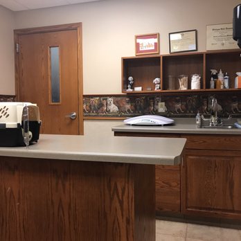 Small Animal Hospital Milwaukee Wi: Trusted Care for Your Pets