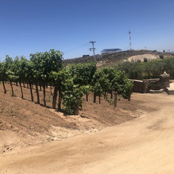 MS Tours - Wine Tours Near Me - Rosarito, BCN