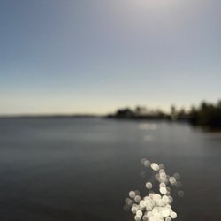 Sparkling water