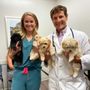 Photo of Kelsey Canine Medical Center