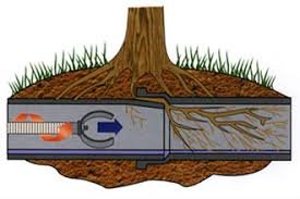 Slide of Drain Cleaners