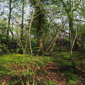 Jenischpark - Parks Near Me - Hamburg, HH Jenischpark - Parks Near Me - Hamburg, HH