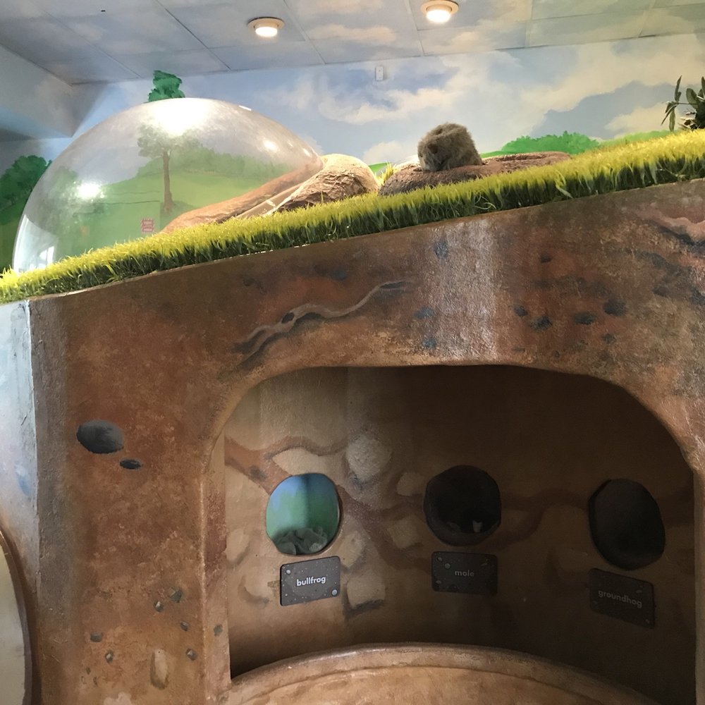 Discovery Place Nature - Museums Near Me - Charlotte, North Carolina