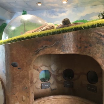 Discovery Place Nature - Museums Near Me - Charlotte, North Carolina