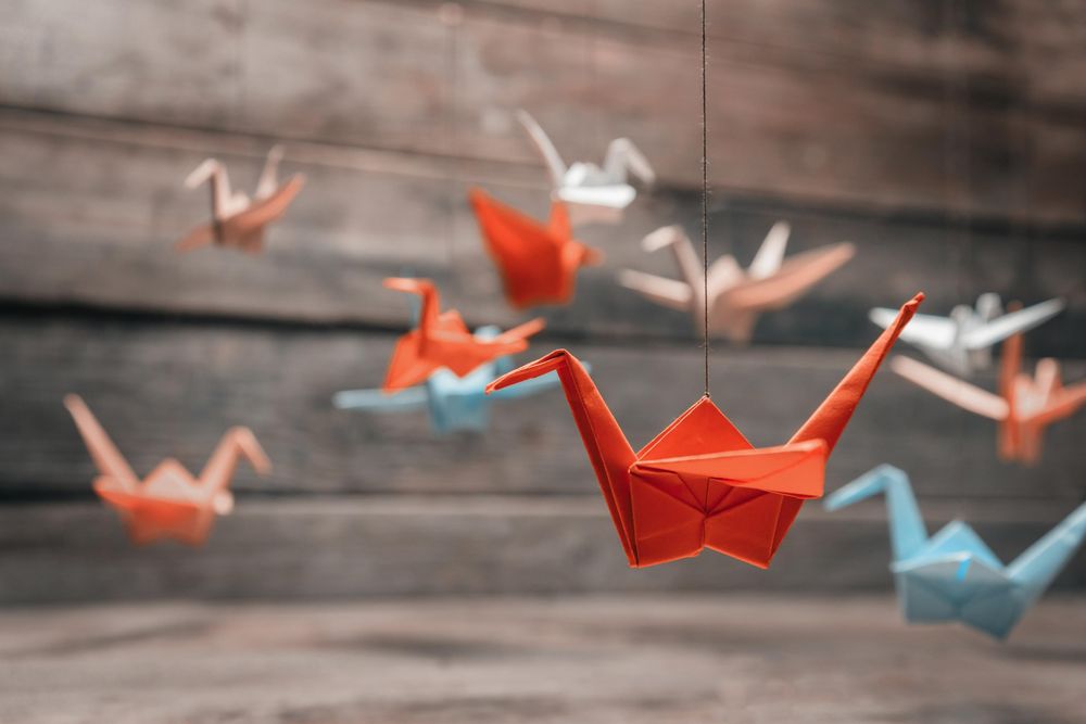 Paper Cranes Healthcare - patient advocate in Chandler, AZ