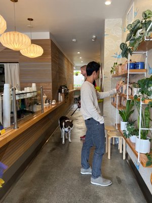 Alana’s Coffee Roasters by null