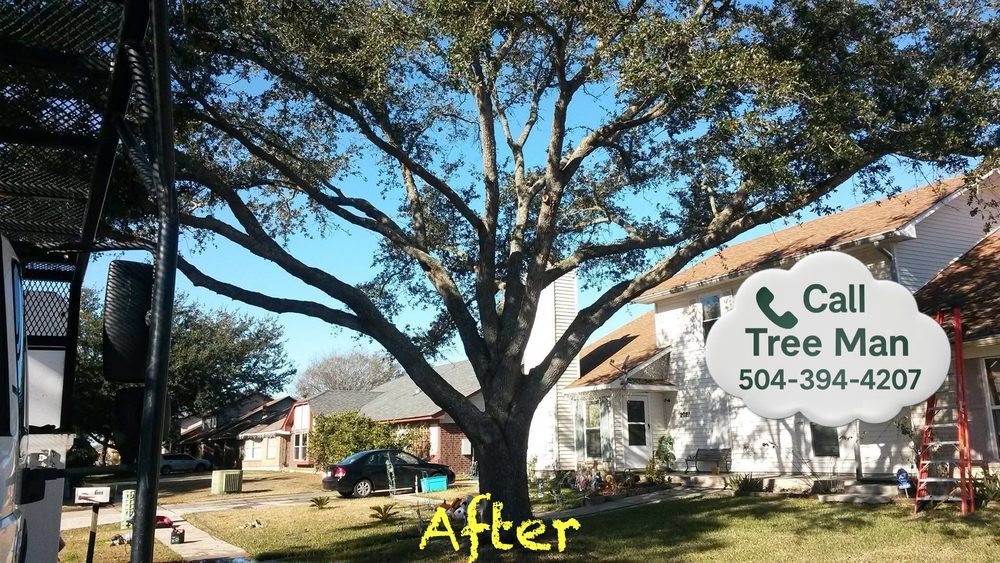 Tree Man - tree service in New Orleans, LA