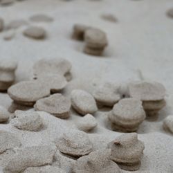 5th Avenue Beach - Sand