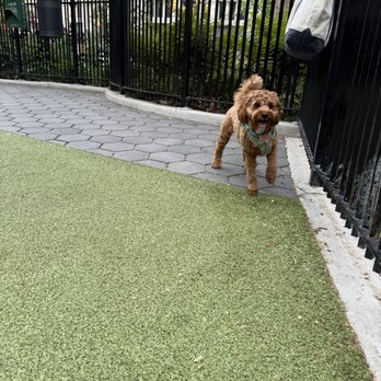 Madison Square Park Conservancy - Dog Parks Near Me - New York, New York Madison Square Park Conservancy - Dog Parks Near Me - New York, New York