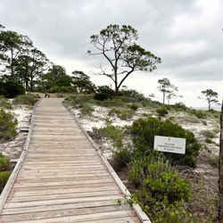 Audubon Bird Sanctuary