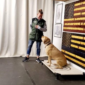 Ridgeside K9 - Pet Training Near Me - Bluemont, Virginia Ridgeside K9 - Pet Training Near Me - Bluemont, Virginia