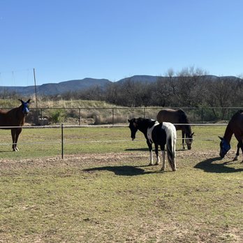 River Ranch Horse Resort - Horse Boarding Near Me - Camp Verde, Arizona River Ranch Horse Resort - Horse Boarding Near Me - Camp Verde, Arizona