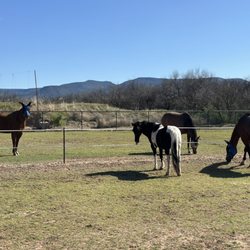 River Ranch Horse Resort