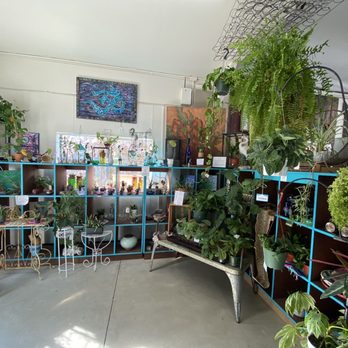 Junktion 101 - Alpine - Houseplants! - Home Decor Near Me - Alpine, California Junktion 101 - Alpine - Houseplants! - Home Decor Near Me - Alpine, California