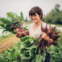 River Run Farm - Beets