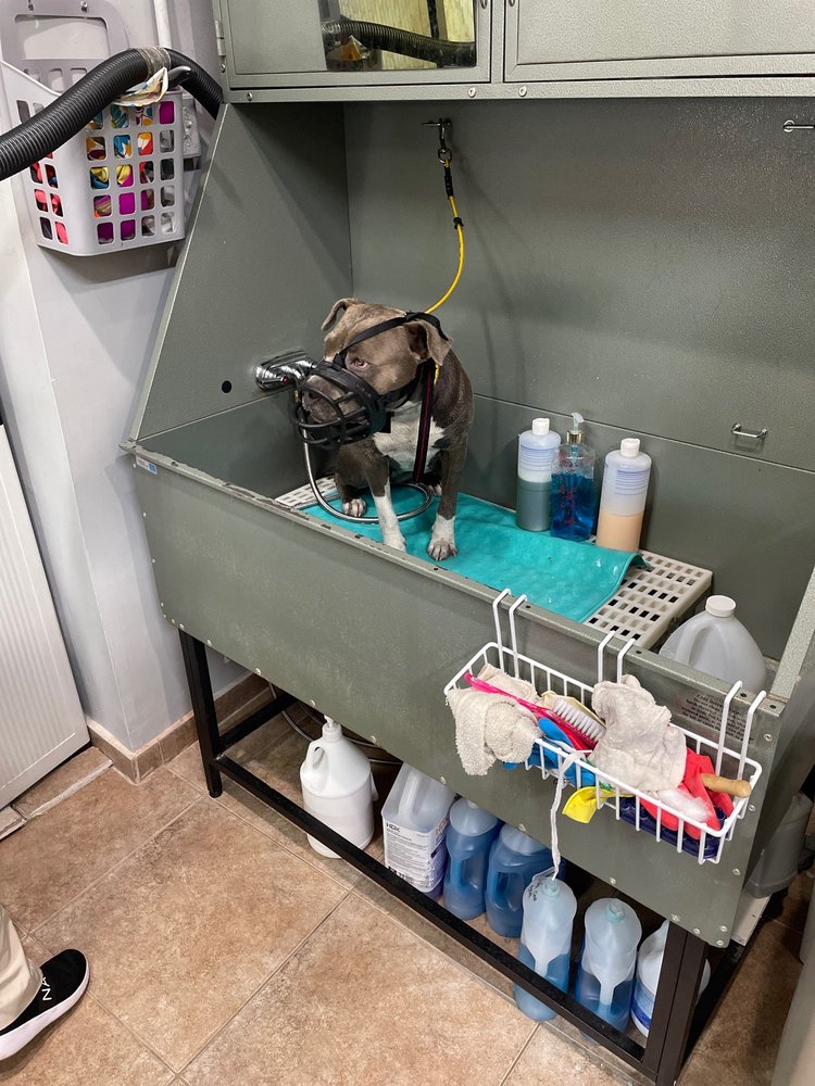 FURRY GROOMING SALON Updated September 2024 69 Photos & 10