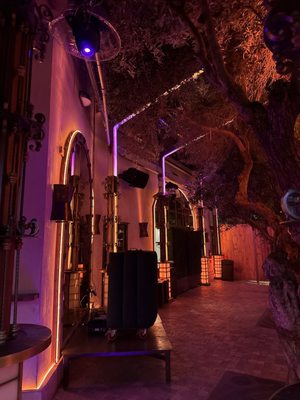 Roosterfish West Hollywood by null