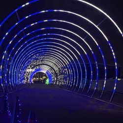World of Illumination - Tunnel of lights