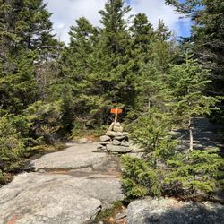 West Ridge Trail - Cardigan Mountain State Park