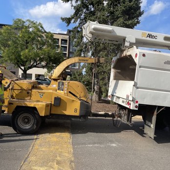 JL Tree Service - Truck and the guy who gave me crap when I said something - Tree Services Near Me - Fairfax, Virginia