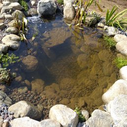 a small pond surrounded by rocks