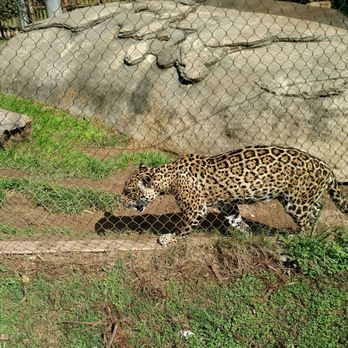 Cameron Park Zoo - Zoos Near Me - Waco, Texas