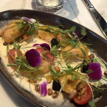 Mojo - Salmon and Scallop Ceviche - Latin American Near Me - Forest Hills, New York Mojo - Salmon and Scallop Ceviche - Latin American Near Me - Forest Hills, New York