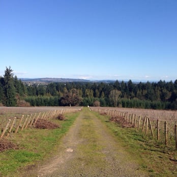 Ardiri Winery & Vineyards - Wineries Near Me - Cornelius, Oregon Ardiri Winery & Vineyards - Wineries Near Me - Cornelius, Oregon