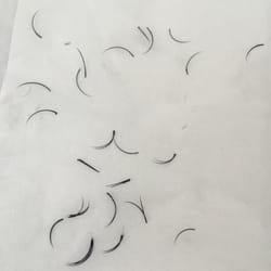 Ottawa Lash Queen - This was from one eye. I lost so many lashes