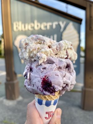 Blueberry Hill Dairy Bar by null
